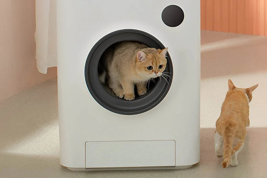 cat litter box for multiple cats